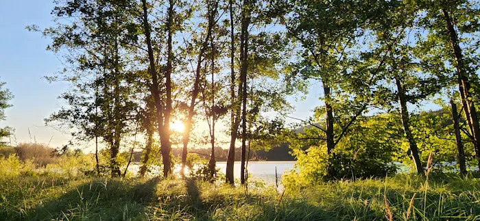 Ives Run Campground 2