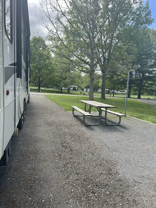 Ives Run Campground 6