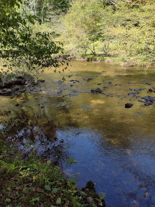 Marvin Run Campground 3