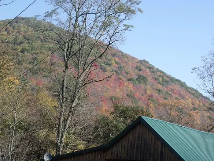 Marvin Run Campground 6