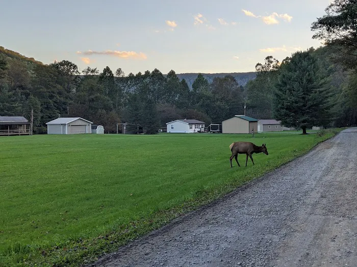 Austin Campground 1