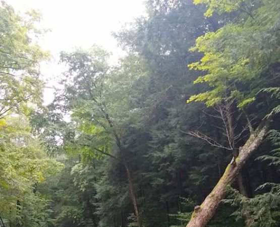 Austin Campground