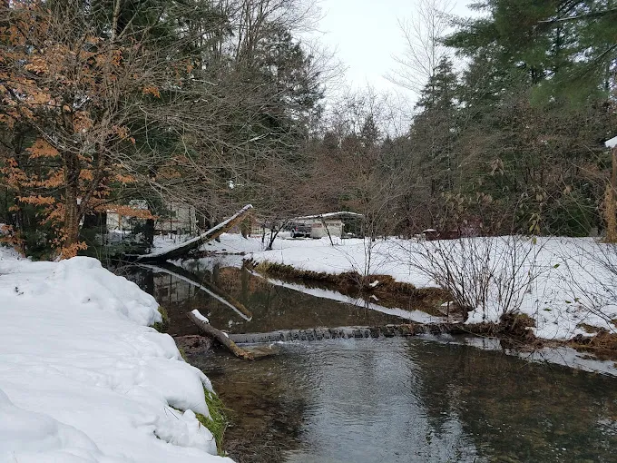 Hemlock Campground of Potter County 2