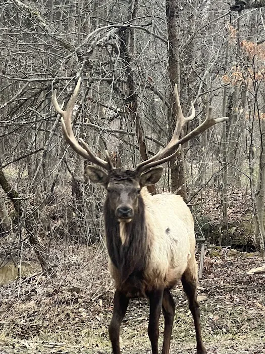 Hemlock Campground of Potter County 5