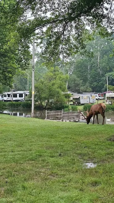 Hemlock Campground of Potter County 6