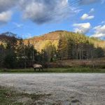 Hemlock Campground of Potter County