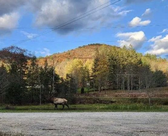 Hemlock Campground of Potter County