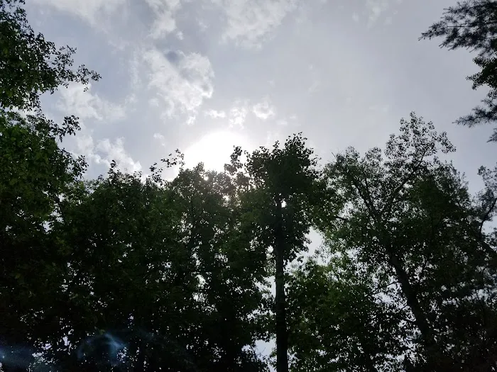 Hike-In Campground 8