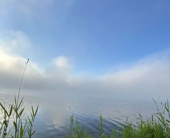 Hike-In Campground