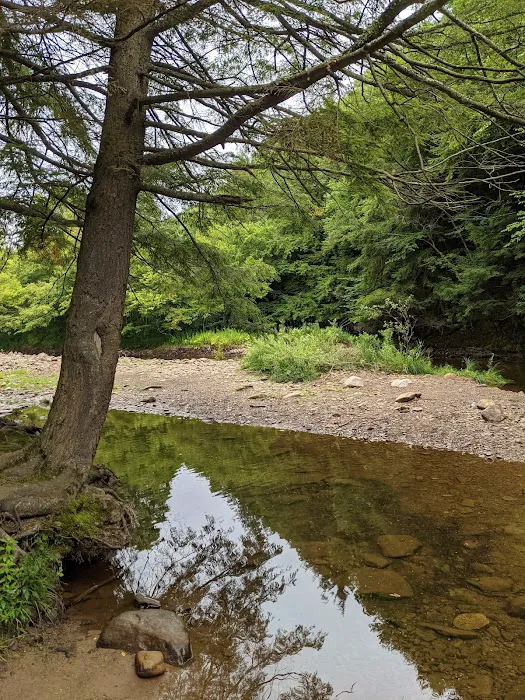 County Bridge Campground 5