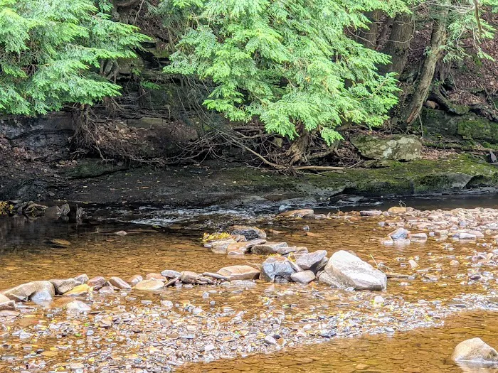 County Bridge Campground 3
