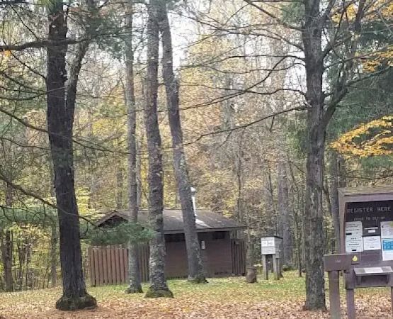 County Bridge Campground