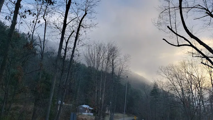 Sinnemahoning State Park Campground 1