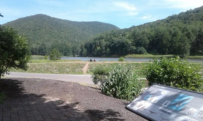Sinnemahoning State Park Campground 7
