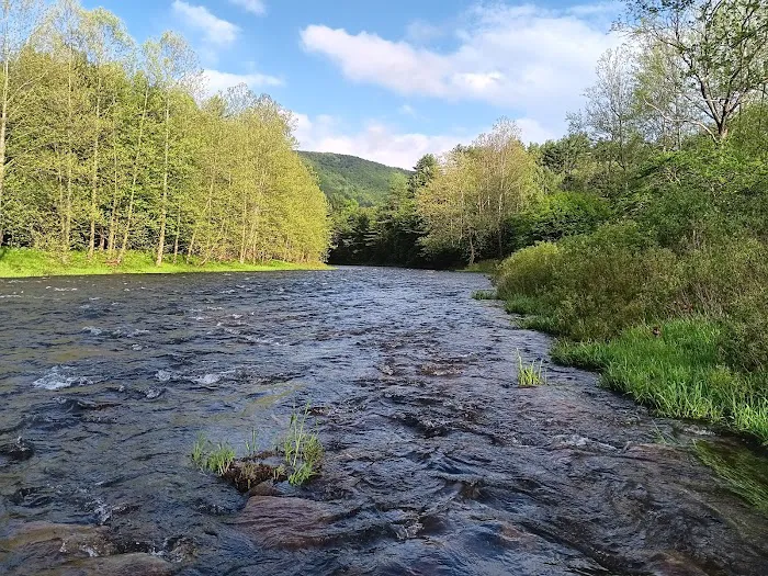 Sinnemahoning State Park Campground 6