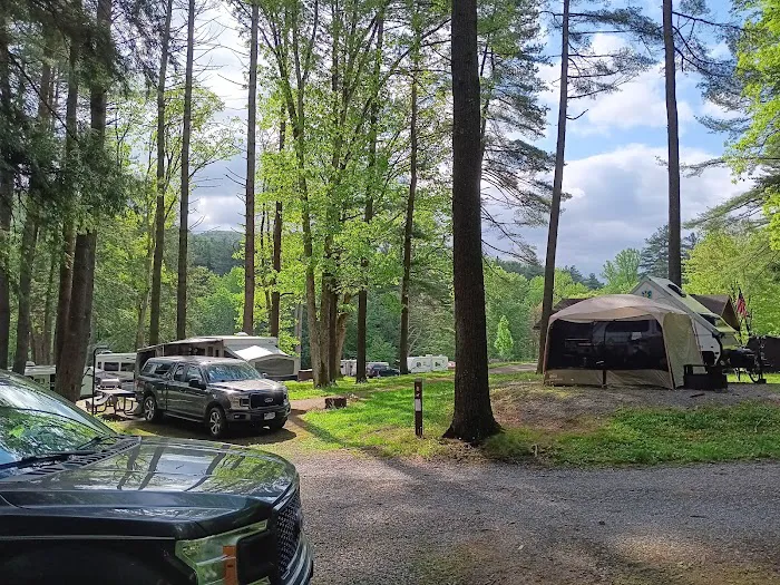 Sinnemahoning State Park Campground 5