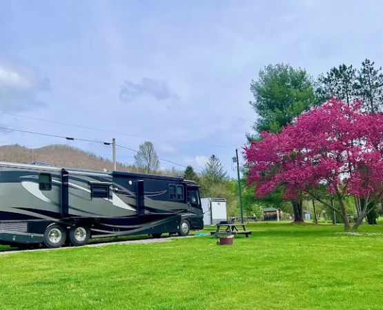 Elk Country Campground