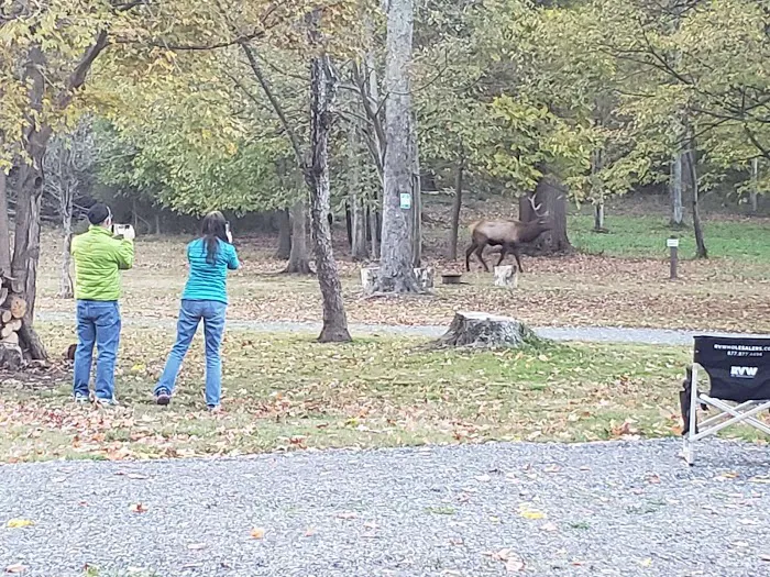 Elk Country Campground 2