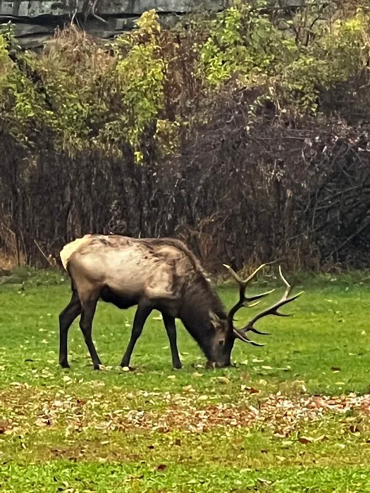 Elk Country Campground 7
