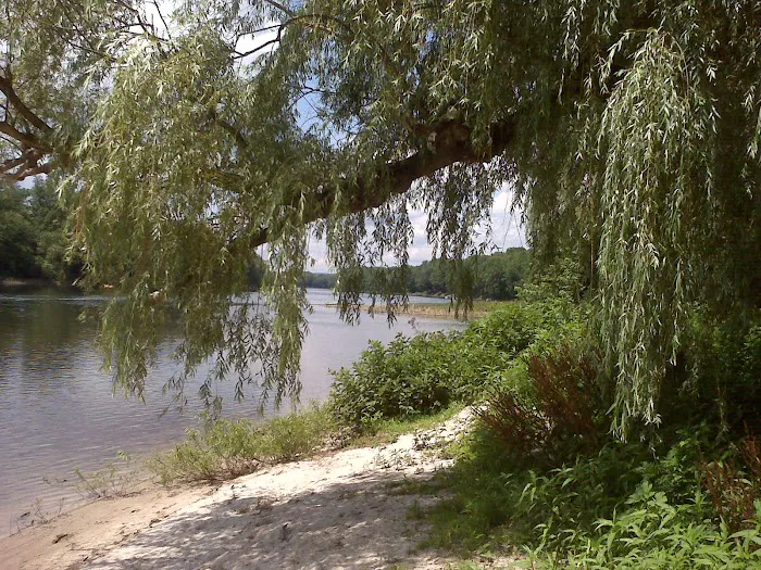 A1 Susquehanna Campground 5