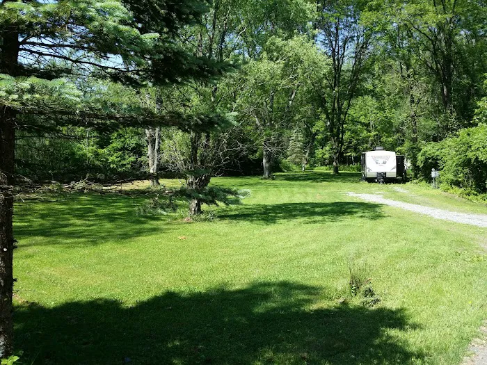 Haleeka Campground 6