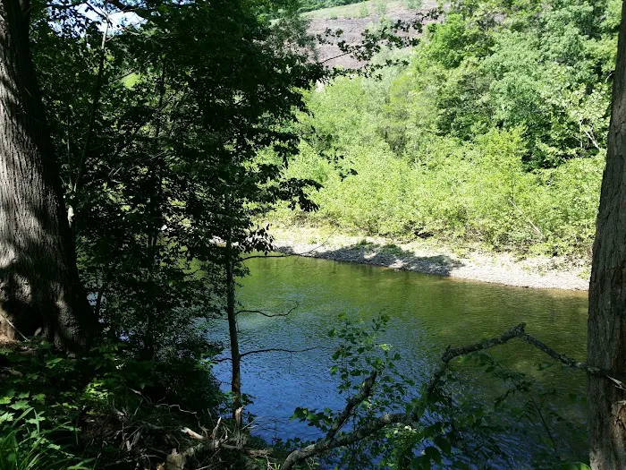 Haleeka Campground 9