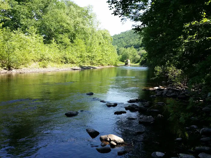 Haleeka Campground 2