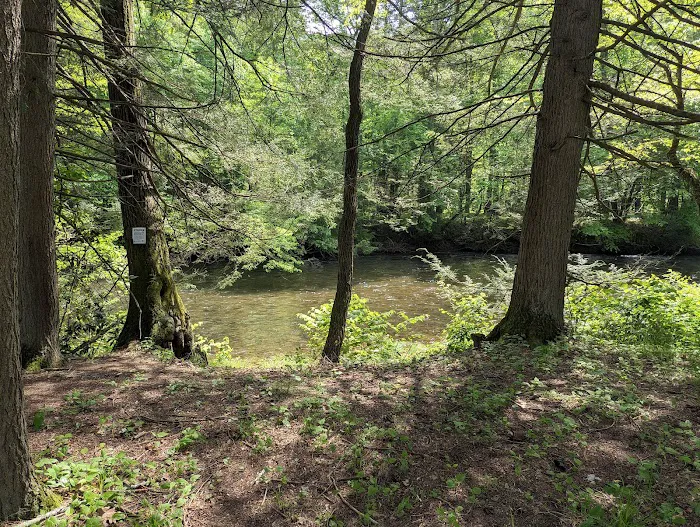 Creek Side RV Campsites 1