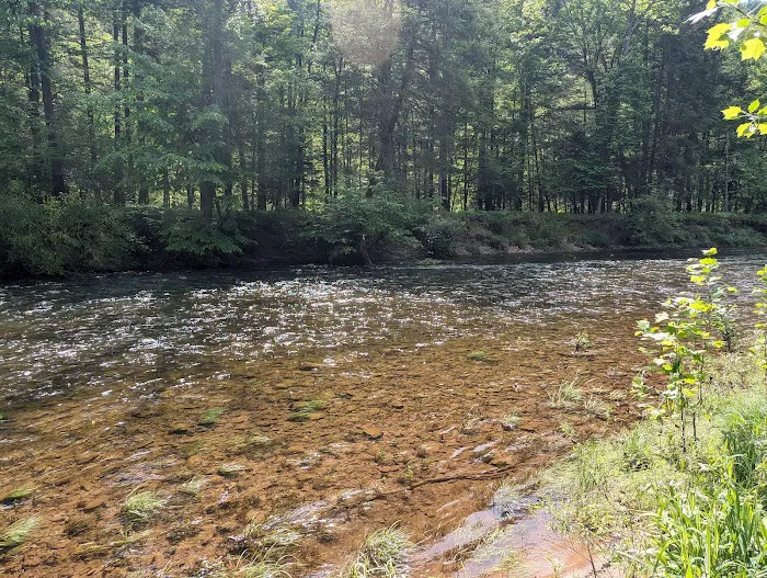Creek Side RV Campsites 5