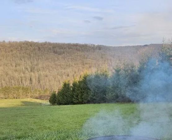 Bines Hill Campsites