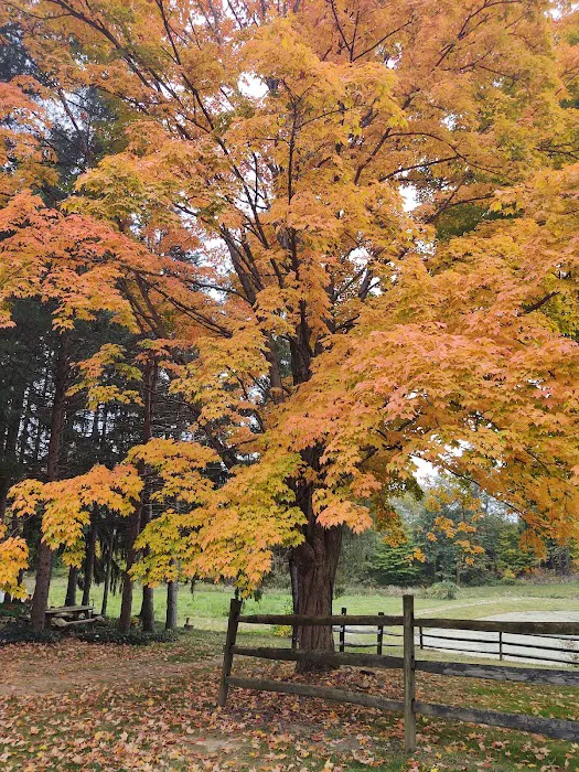 Whispering Pines Campground 9