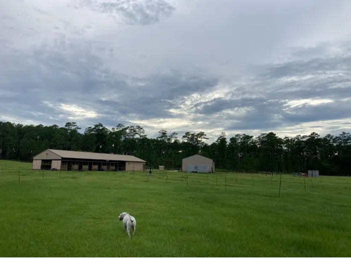 Rocco Ridge Ranch LLC 2