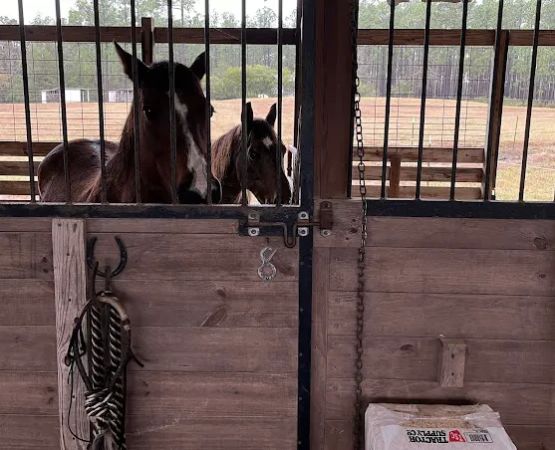 Rocco Ridge Ranch LLC