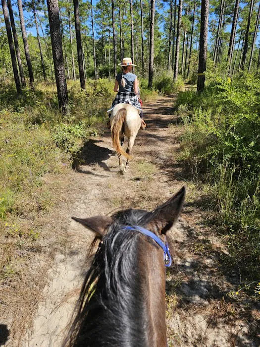 Rocco Ridge Ranch LLC 3