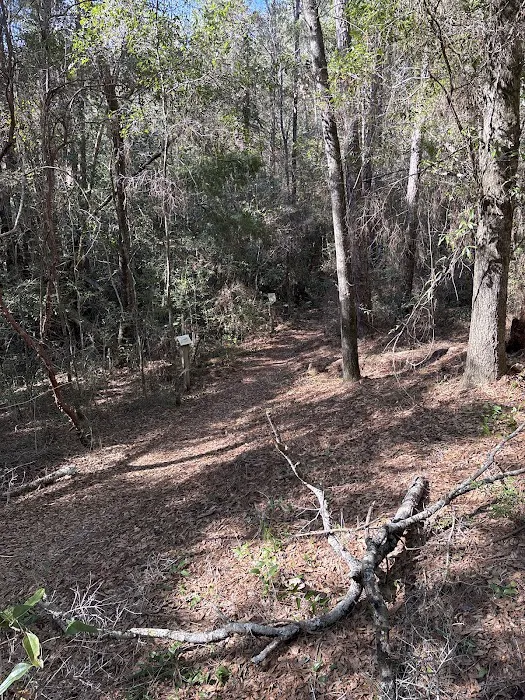 Clear Creek Campground 7