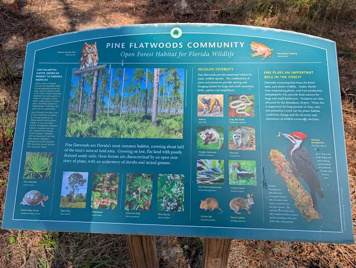 Blackwater River State Park Campground 3