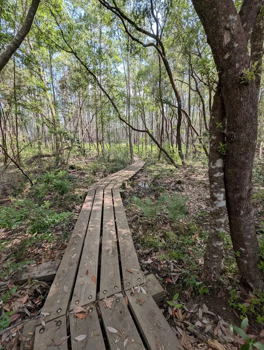 Blackwater River State Park Campground 1