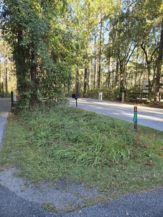 Blackwater River State Park Campground 9
