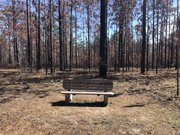 Bear Lake Camp Ground 5