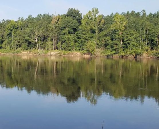 River Farms LLC