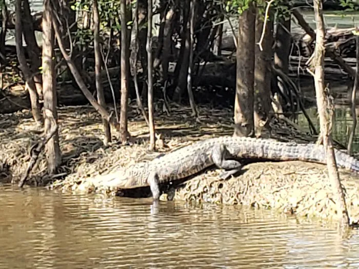 Bluff Springs Recreation Area 4