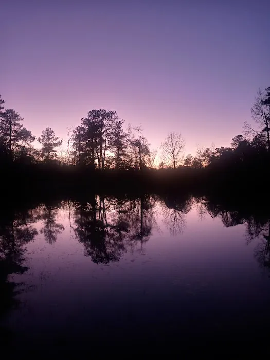 Bluff Springs Recreation Area 3