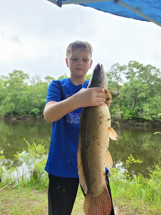 Bluff Springs Recreation Area 7