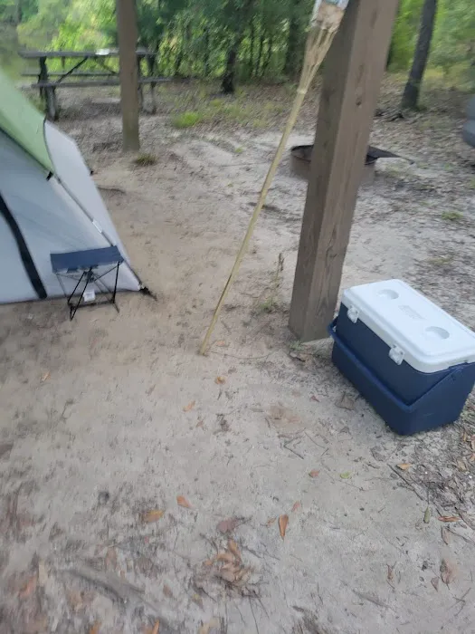 Bluff Springs Recreation Area 6