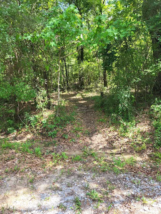 Bogia Boat Ramp 8