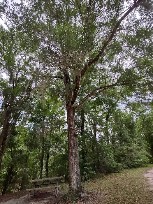 Mystic Springs Free Campground 5