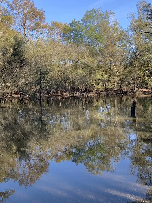 Mystic Springs Cove Inc 1