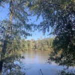 Mystic Springs Cove Inc