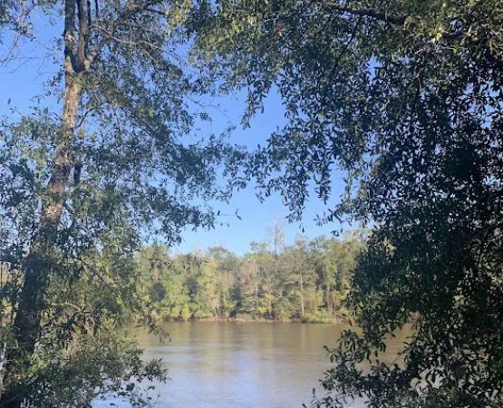 Mystic Springs Cove Inc