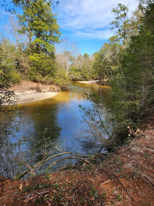 Creek Adventures Campground 8